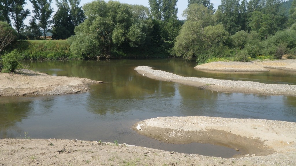Durch das Anlegen von Flachwasserbereichen und Sedimentaufschüttungen wird die ökologische Vielfalt gefördert