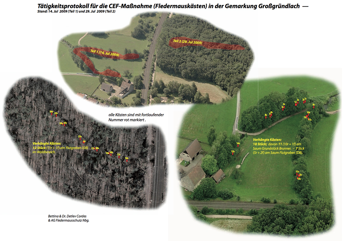 Planungen zum Fledermausschutz in der Gemarkung Großgründlach